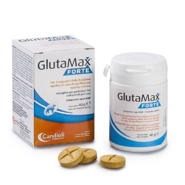 GLUTAMAX FORTE 20CPR